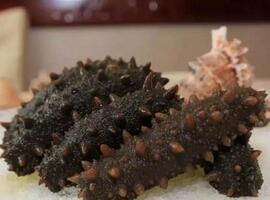 食品銷售公司-食品行業-競價托管_競價外包